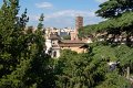 0511Foro Palatino